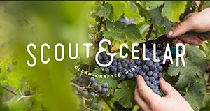 Scout & Cellar